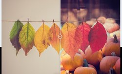 Topaz Labs Mask AI w wersji 1.20