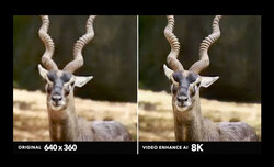 Nowa wersja oprogramowania Topaz Video Enhance AI