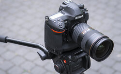 Nikon D6 - test trybu filmowego