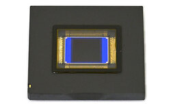 Nikon chwali si� now� matryc�