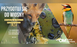 OM Digital Solutions zaprasza na cykl spotka� online