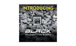 Karty CFexpress typu B Delkin Black