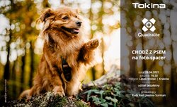 Fotospacer z psami oraz sprz�tem Tokina i Quadralite