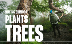 Kupuj�c produkty Shimoda sadzisz drzewa