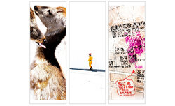 Wystawa fotografii Paradise 101 Wystawa fotografii Paradise 101