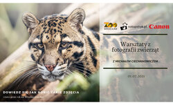 Warsztaty fotograficzne we wrocławskim zoo Warsztaty fotograficzne we wrocławskim zoo