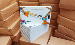 Oświecenie pod Choinkę Oświecenie pod Choinkę