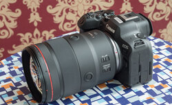 Canon EOS R6 Mark II i RF 135 mm f/1.8 L - zdjcia przykadowe
