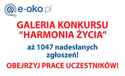 Galeria zdjęć konkursu e-oko.pl Galeria zdjęć konkursu e-oko.pl