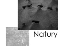 Kwadratura Natury w Pile