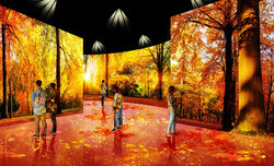 Nowy procesor multimedialny Panasonic