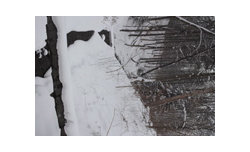 Sigma DP2 - zdj�cia przyk�adowe