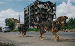 Spotkanie z Robertem Danielukiem w Muzeum Powstania Warszawskiego