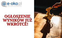 Wkrtce wyniki konkursu fotograficznego e-oko