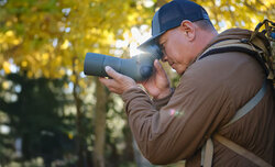 Swarovski AT/ST Balance Swarovski AT/ST Balance