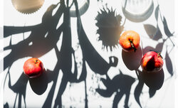 Wyniki konkursu fotograficznego e-oko.pl