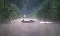 Przyroda Warta Poznania