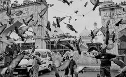 Sony World Photography Awards 2026 - znamy cz�� finalist�w