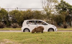 SWPA 2026 -​ ​finali�ci i zdobywcy wyr�nie� ​w konkursie profesjonalnym