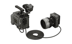 Sony Rialto 65 oficjalnie