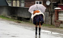 XV Wirtualny plener Optyczne.pl