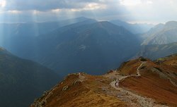 XXVIII Wirtualny plener Optyczne.pl