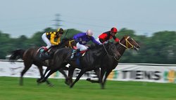 Warsztaty fotograficzne Sigma ProCentrum