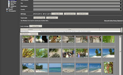 Microsoft Pro Photo Tools v. 1