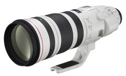 Canon EF 200-400 mm f/4L IS USM