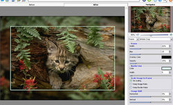 AKVIS ArtSuite 4.0 