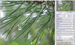 AKVIS Magnifier 1.0