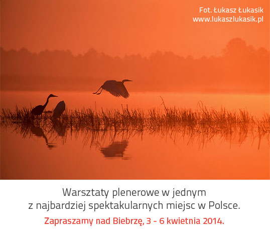 Biebrza na przedwioniu - warsztaty Samyang