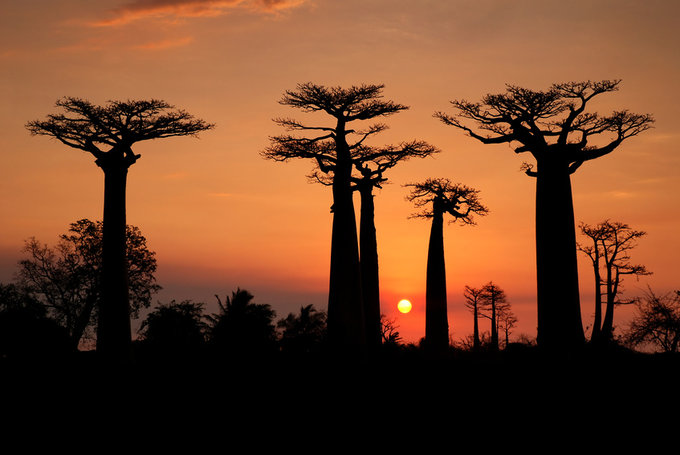 Zamienie Soca na Madagaskarze - zapraszamy na kolejn Fotomisj