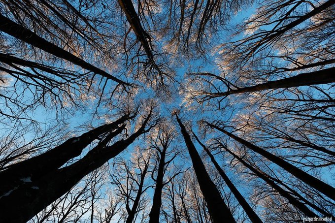 Bieszczady w obiektywie - tak byo na warsztatach Grzegorza Leniewskiego