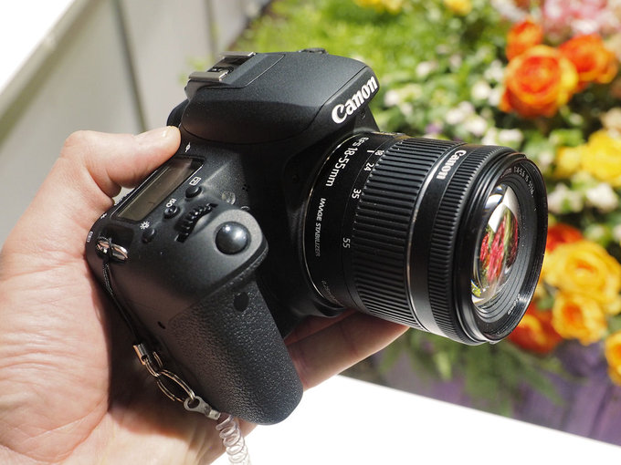 Canon EOS 77D i EF-S 18-55mm f/4-5.6 IS STM - przykadowe zdjcia