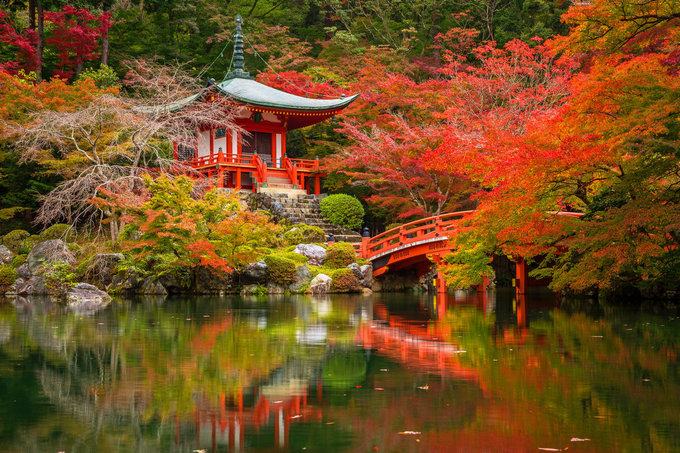 Japonia w kolorach jesieni - Fotomisja Optyczne.pl