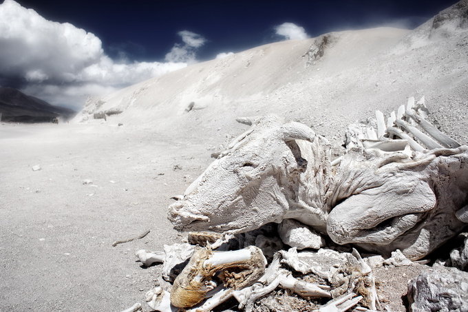 Rajd Dakar i pustynia Atakama - kolejna Fotomisja Optyczne.pl