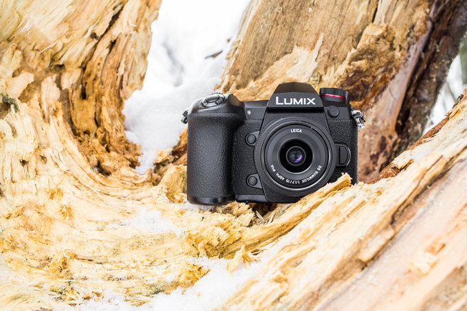 Panasonic Lumix G9 w fotografii przyrodniczej