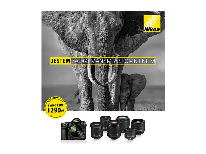 Nowy cashback Nikona na aparaty i obiektywy