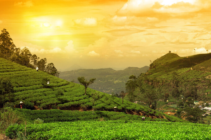 Fotomisja na Sri Lank