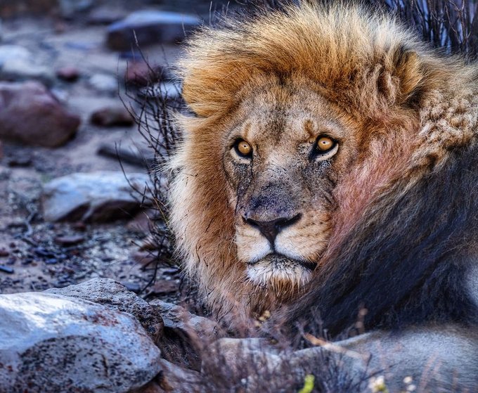 O Fujifilm GFX 50R na spotkaniu z Jackiem Boneckim O Fujifilm GFX 50R na spotkaniu z Jackiem Boneckim