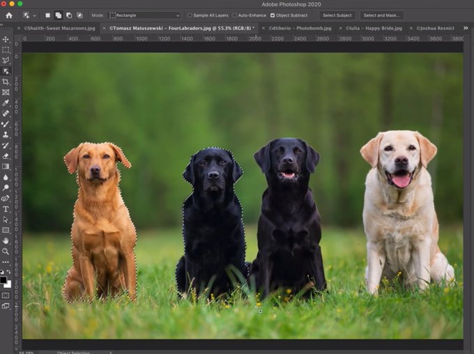 Adobe zapowiada aktualizacj Photoshopa o now funkcj 