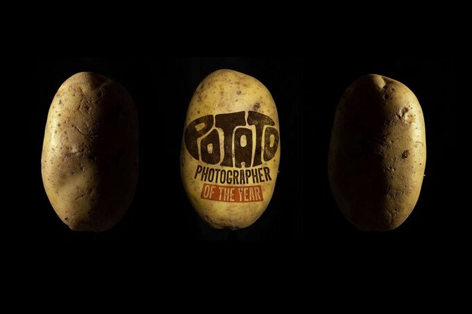 Rozstrzygnito konkurs Potato Photographer of the Year 2020