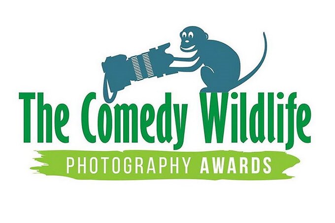 Ogoszono finalistw konkursu Comedy Wildlife Photography Awards 2020
