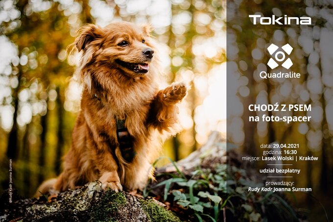 Fotospacer z psami oraz sprztem Tokina i Quadralite