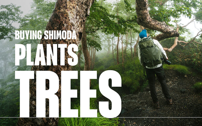 Kupuj�c produkty Shimoda sadzisz drzewa