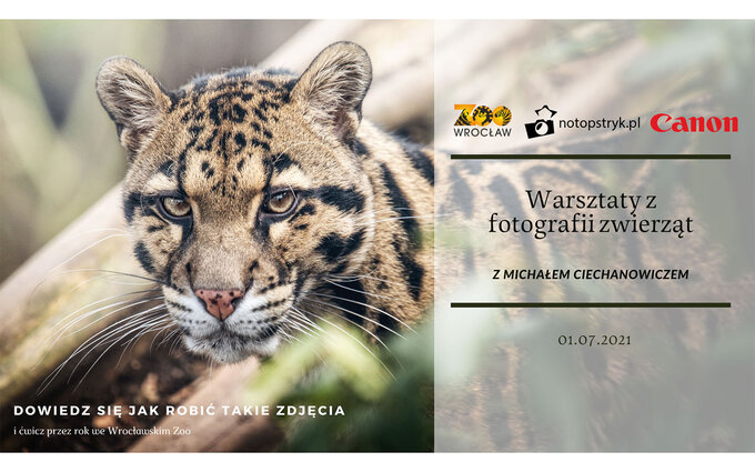 Warsztaty fotograficzne we wroc�awskim zoo