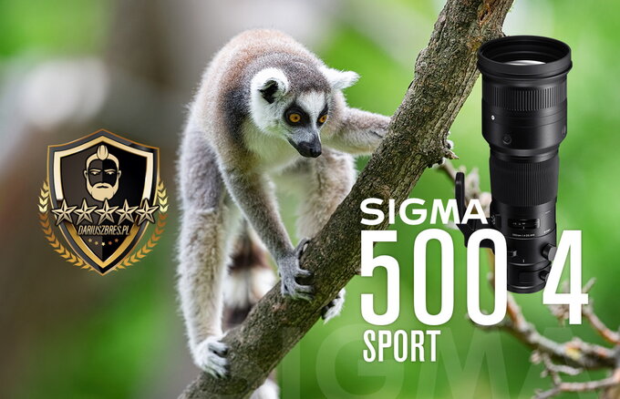 SIGMA 500 mm f/4 DG OS HSM Sport w rękach Dariusza Bresia