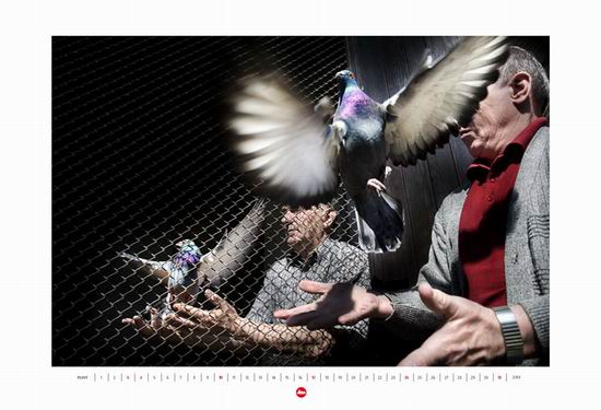 Aukcja kalendarza Leica 2010 dla WO�P