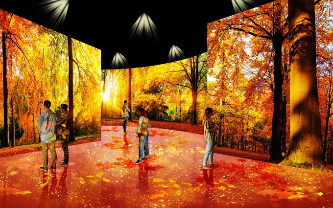 Nowy procesor multimedialny Panasonic